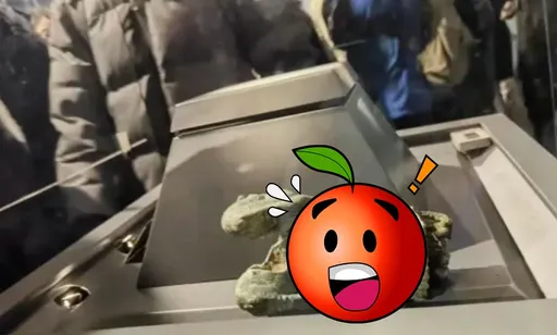 遊客在博物館打群架!震倒千年國寶銅器還翻過去 館方鑑定損傷結果出爐