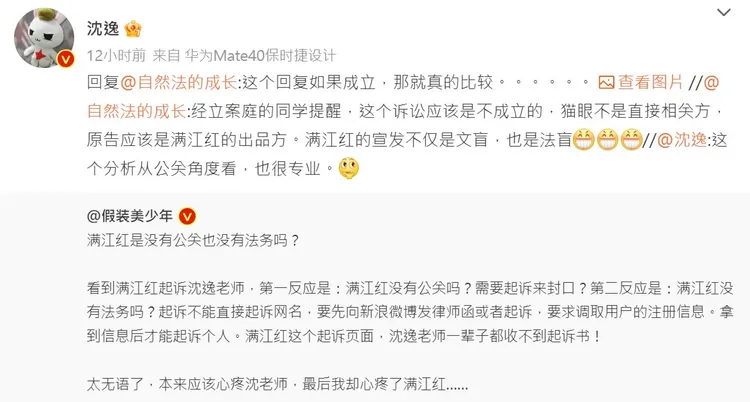 復旦大學教授沈逸轉發網友分析，《滿江紅》可能告不成他。翻攝沈逸微博