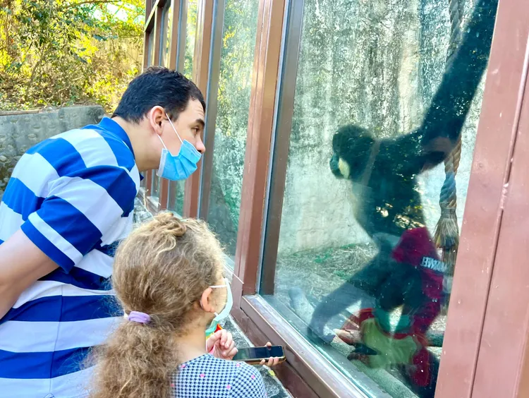 遊客觀察金頰長臂猿姿態。觀光局提供