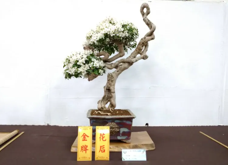 花后。農業局提供