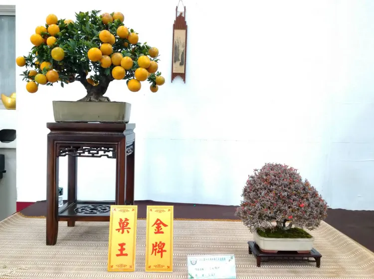 菓王。農業局提供