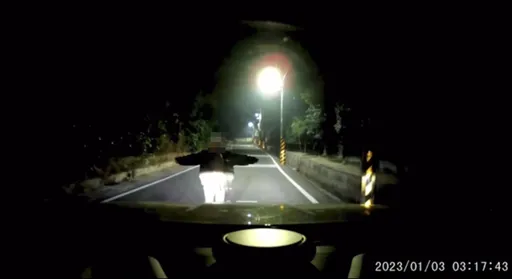 驚死人！半夜3點女子張臂站路中　鄉路遇到不是鬼「她這理由不睡覺」