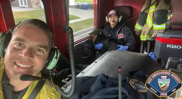 西蒙斯在消防隊員身上看車外風景。翻攝聖貝納迪諾郡消防隊