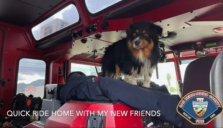 西蒙斯在消防車中準備回家。翻攝聖貝納迪諾郡消防隊