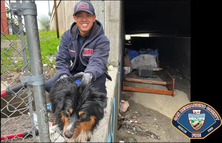 消防隊員說西蒙斯毫髮無傷、精神奕奕。翻攝聖貝納迪諾郡消防隊