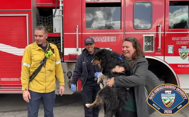 狗主看到西蒙斯，喜極而泣。翻攝聖貝納迪諾郡消防隊