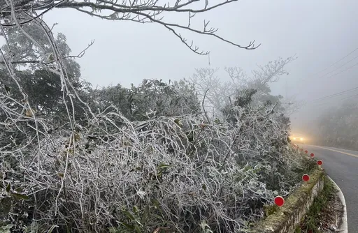 寒流低溫籠罩!桃園26人無呼吸心跳送醫 23人死亡年紀最小僅3歲