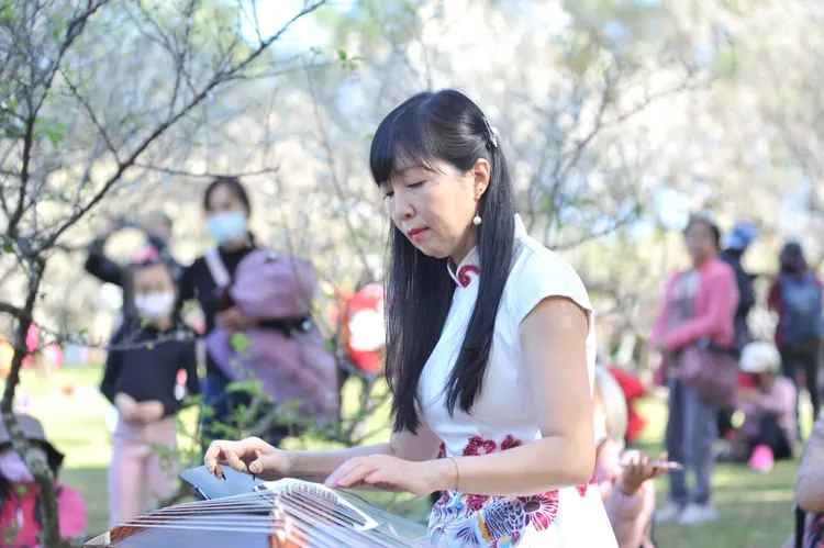 活動期間，將於角板山行館梅園設立茶席與古樂表演家供民眾賞花品茗。桃園觀旅局提供