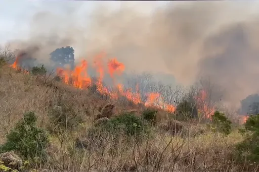 注意!台中公墓雜草起火濃煙飄散 影響國道三號行車視線