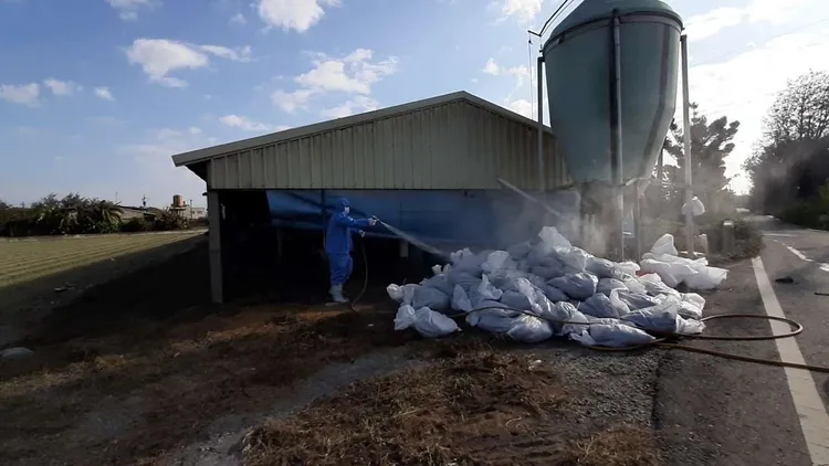 雲林去年底迄今已25處畜場發生禽流感，疫情有擴大升溫趨勢。雲縣府提供
