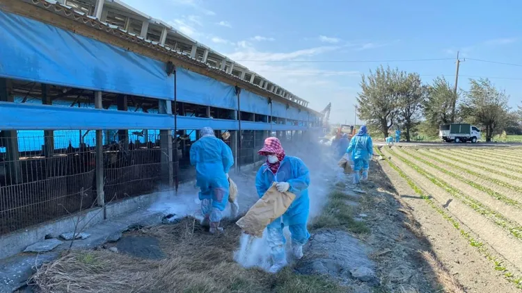 防疫所請業者務必提高警覺，嚴防禽流感擴散造成損失。雲縣府提供