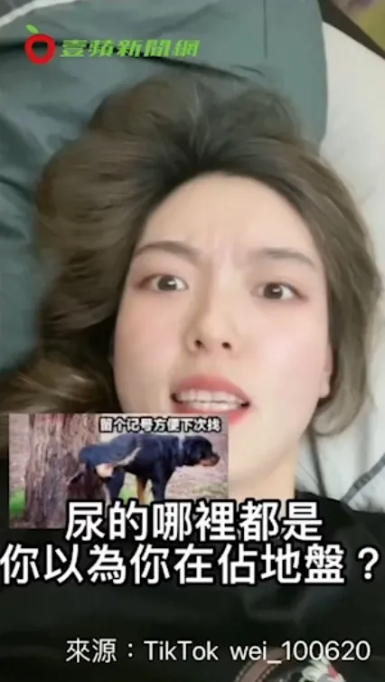 男人弄髒馬桶，女人真的會很崩潰！！！TikTok : wei_100620 提供