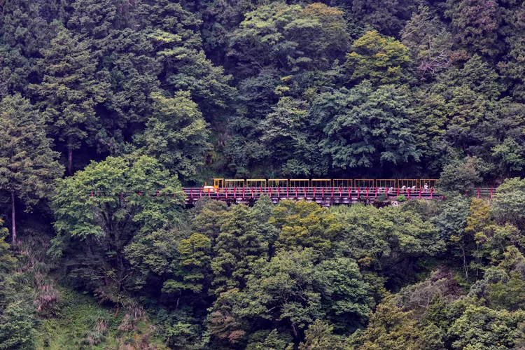 蹦蹦車在山林裡穿梭。林管處提供