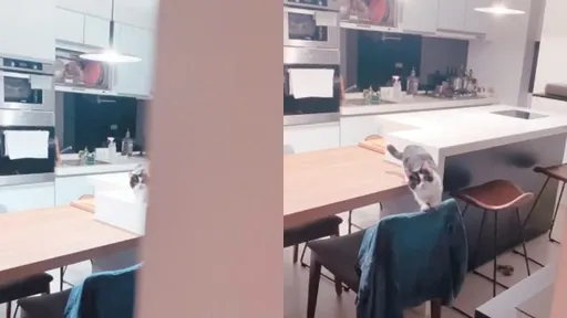 一二三木头人还一直动　玩《鱿鱼游戏》你早就被击毙