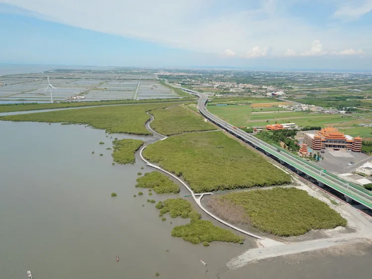 芳苑濕地紅樹林海空步道。彰縣府提供