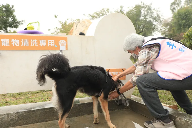 北屯區新平公園寵物專區今天啟用。台中市政府提供