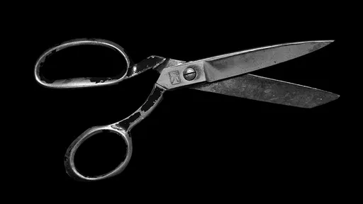 人妻口交後「剪掉老公陰莖」 超輕罰責曝光引發熱議