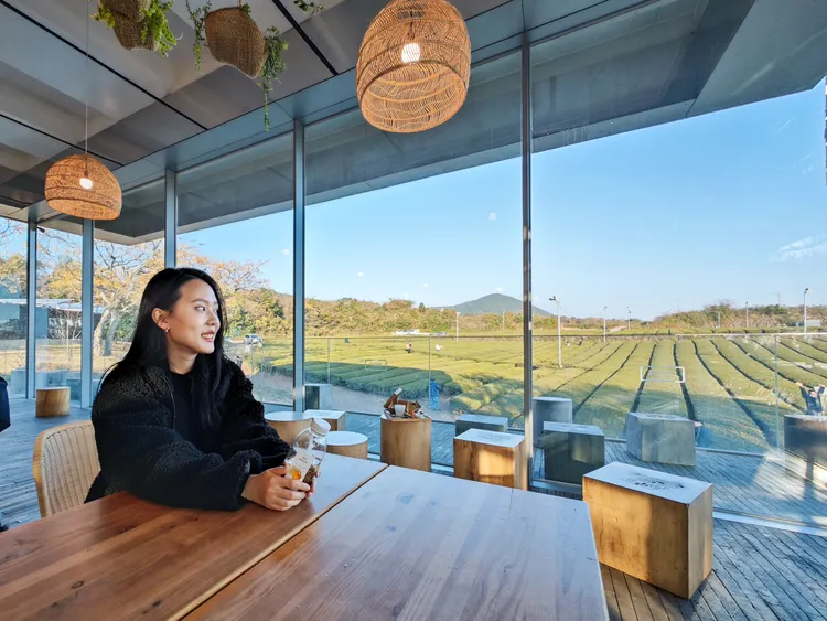窗外看出去，是療癒的青翠茶園。田欣雲攝