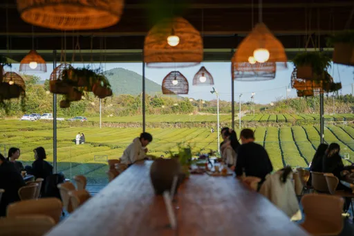 濟州茶園體驗再升級!打卡拍照外還能玩果茶DIY 下午茶吃到飽