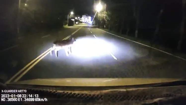 計程車司機發現時已來不及。讀者提供