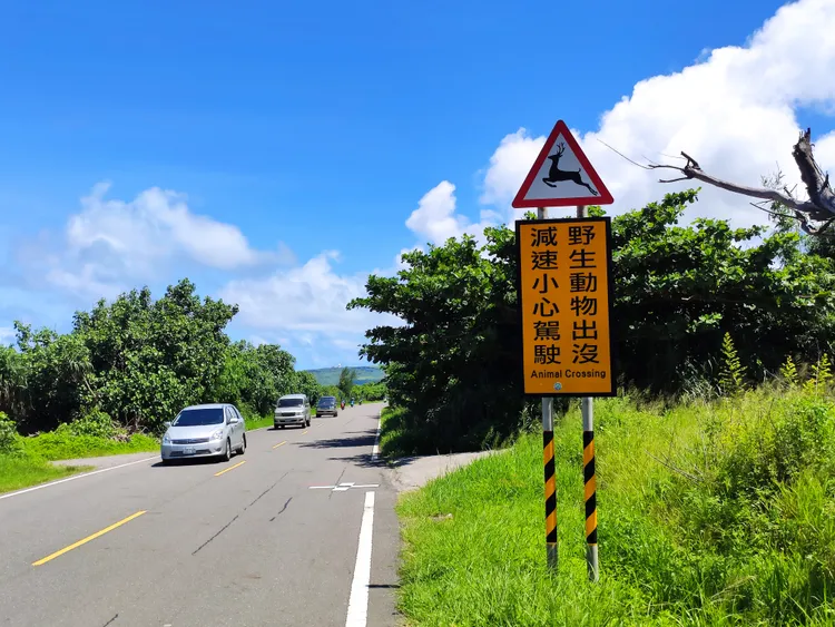 墾丁路旁設有許多野生動物出沒的警告標誌。羅琦文攝