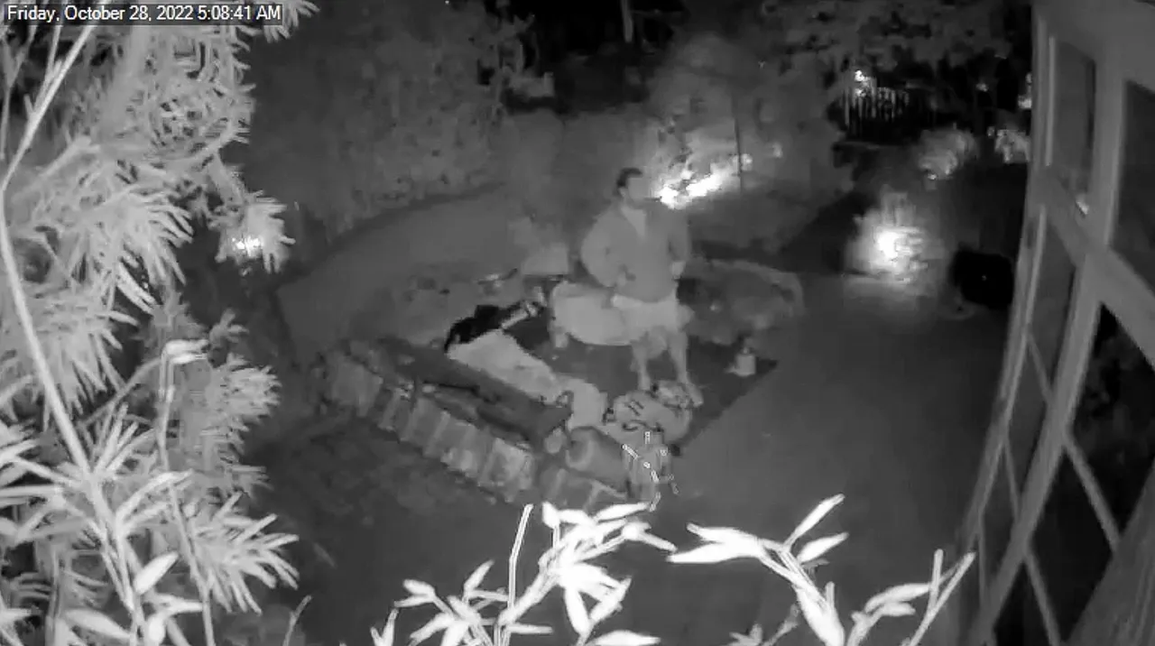 監視器拍下德裴普入侵時畫面。美聯社