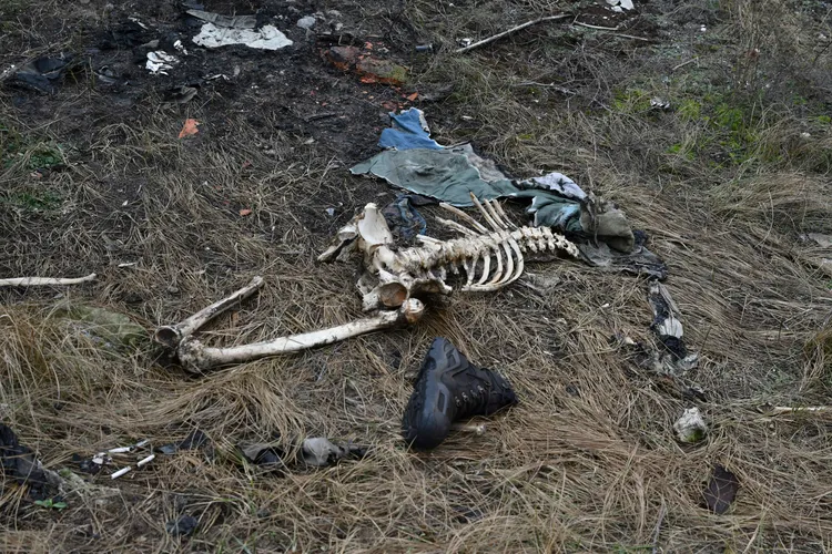 烏克蘭東部頓內次克州曾遭俄軍佔領的城鎮斯維亞托戈爾斯克，有陣亡俄軍遺體已成白骨。美聯社