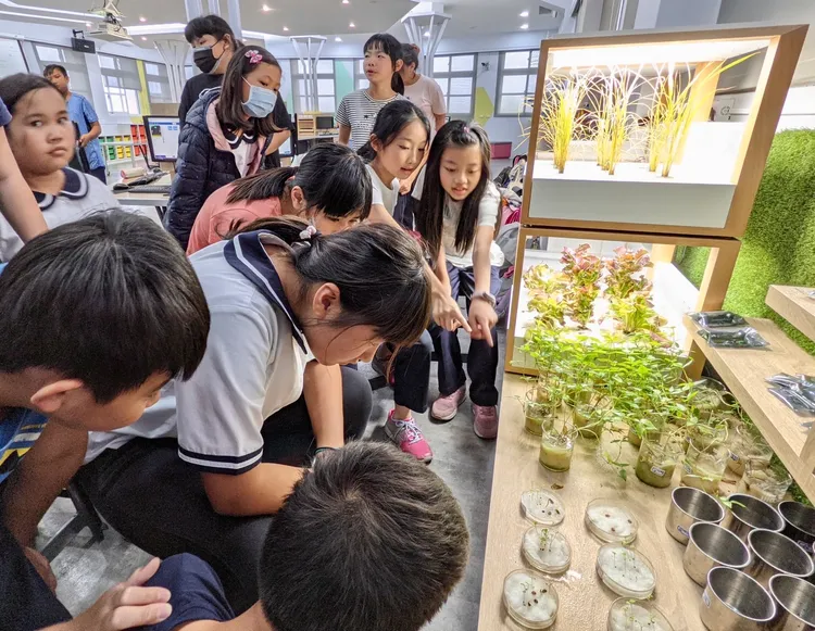 關山國小創意教案，讓孩子認識家鄉土地。台東縣府提供