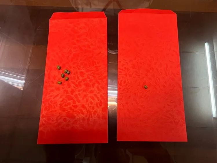 命理師說，兩個紅包各裝1個、6個綠豆放在身上，可收到如水一般源源不絕的正能量。周庭慶攝