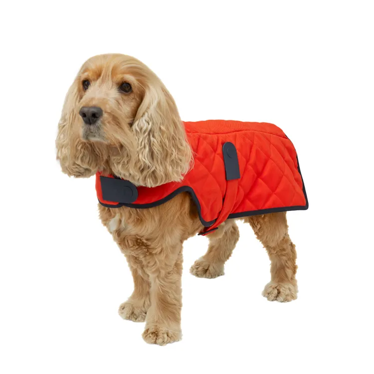 科技布料犬用絎縫外套，3萬4900元。品牌提供