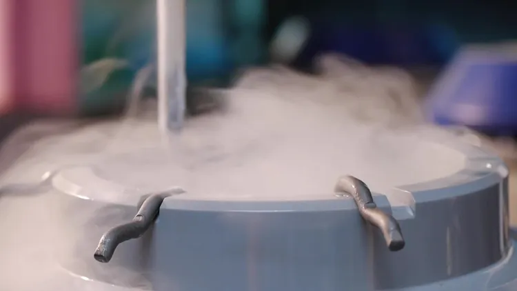 去年同時受疫情影響，部分不孕夫妻可能延遲進入療程的時間，或是先將受精成功的胚胎冷凍，等待日後植入。艾微芙提供