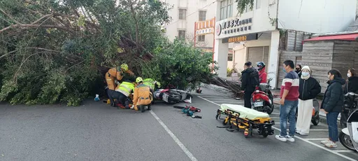 又是強風惹禍！台中路樹倒塌影片曝光　擊落2輛機車釀3人傷
