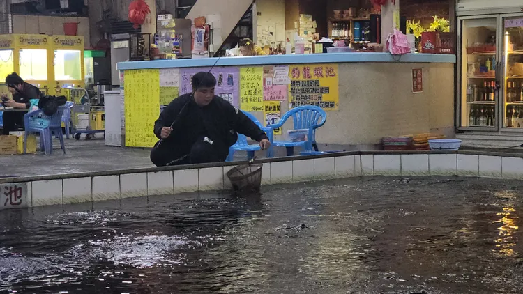 龍蝦池在釣蝦場內，屬於冬天特有，當釣起巨大的龍蝦時，感覺相當爽。黃仲瑜攝