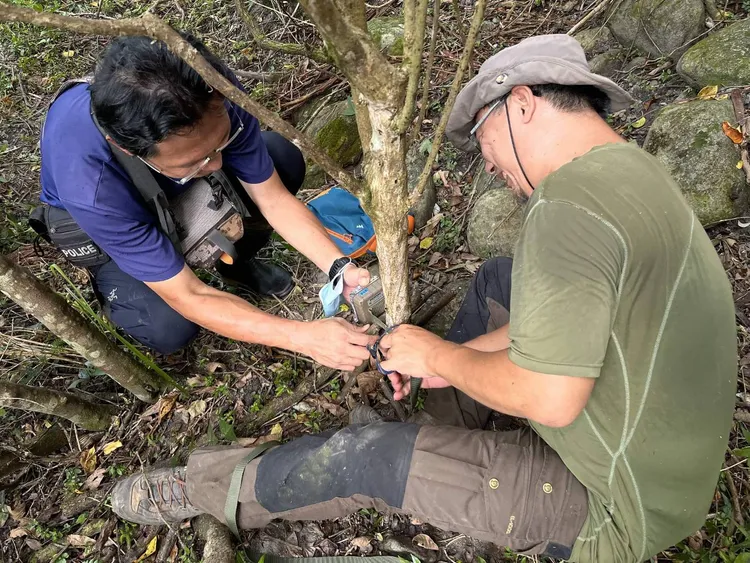 花蓮林管處架設紅外線攝影機監測。縣府提供
