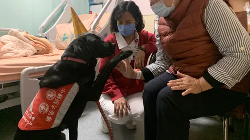 視障者攜導盲犬搭台中公車!司機嚷嚷逼出示殘障手冊 他悲憤:難堪羞愧到想哭