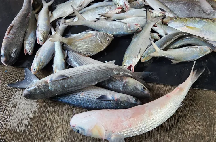 滿船豐收而返，莊國賓開心直呼大豐收。莊國賓提供