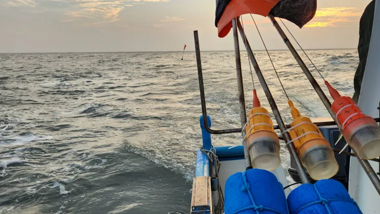 台子港漁民把握天冷漁汛期，黎明天色微亮出船捕撈。莊國賓提供