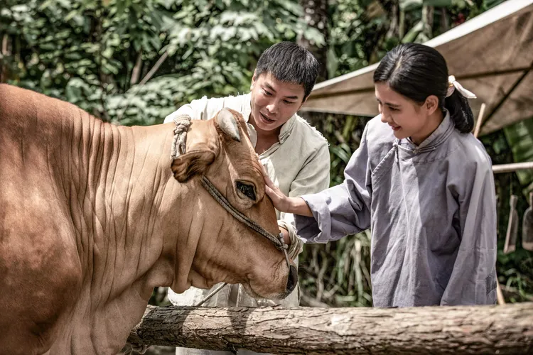 蕭景鴻（左）、「阿春」安心亞跟劇中的牛主角「大目仔」初次見面。公視提供