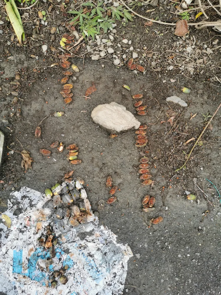 卑南族傳統信仰中認為四處都存在著神靈。謝姓網友授權刊登