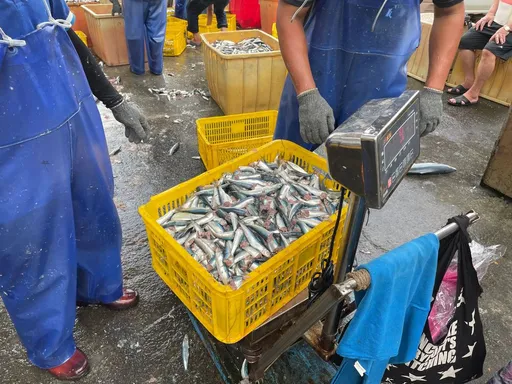 看《灌籃高手》聽見噗滋怪聲 驚見男手伸女友裙裡止癢飄腥味