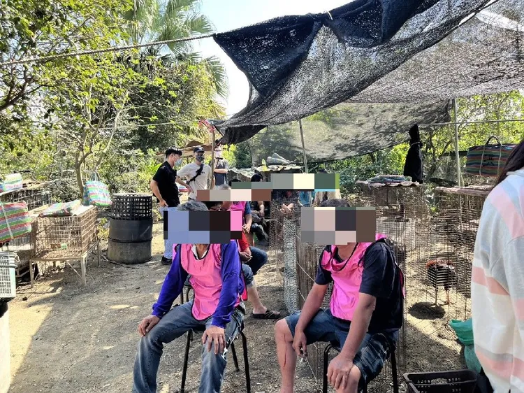 警方今在潮州鎮崙東里破獲鬥雞職業賭場。翻攝畫面