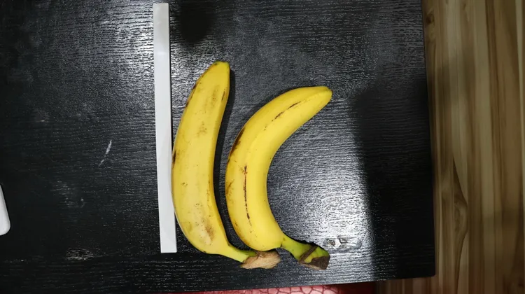 陰莖彎曲角度若在約30度內（如圖左香蕉）可性行為，若彎曲如圖右香蕉的60度，即可能性交困難。侯昌騰攝