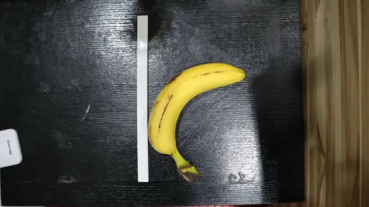 陰莖彎曲若達60度，即可能性交困難。侯昌騰攝