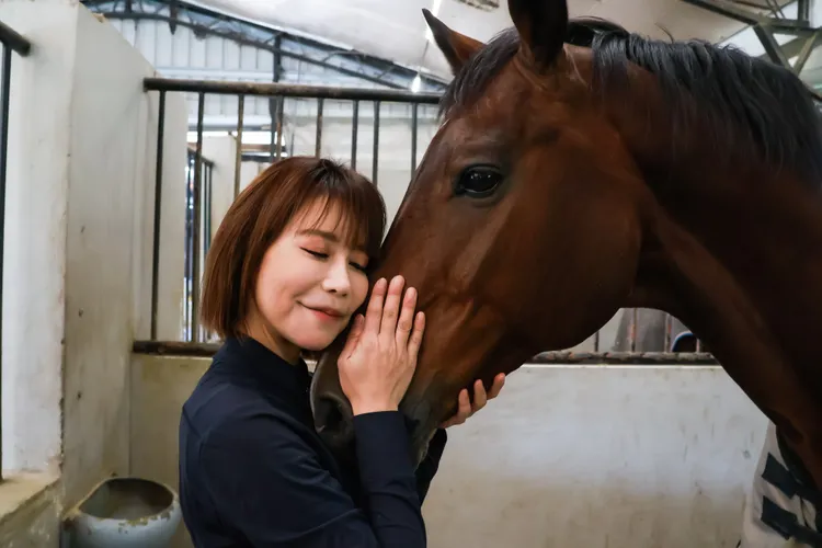 龍眼男是斯容去年花近400萬從荷蘭買的馬術馬。趙世平攝