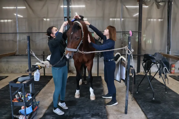 馬上場前需要花20分鐘刷毛、上裝備。趙世平攝