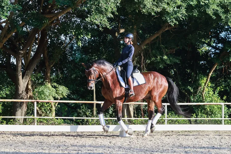 斯容練馬術已4年時間。趙世平攝