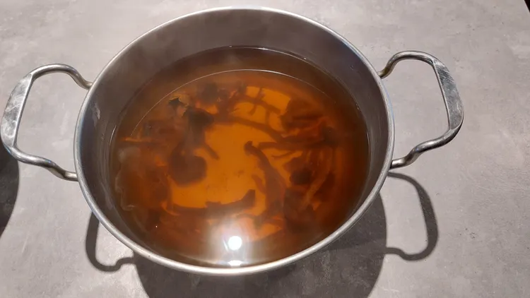 巴西蘑菇湯底看得見蕈菇。凃建豐攝