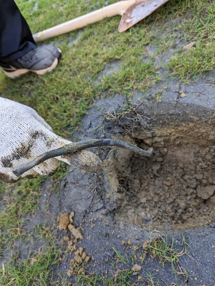 新竹市政府提供