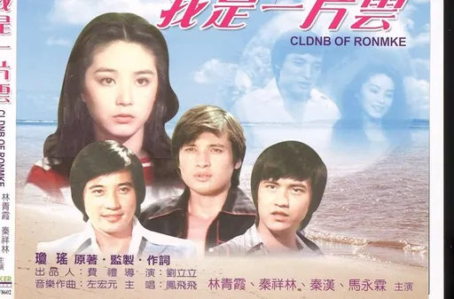 曾和林青霞合作!瓊瑤男星搖身科技董座竟炒股削4億 這下慘了