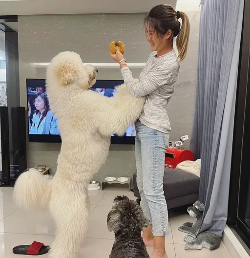 「高球女神」葉欣寧克服眩暈症日立首日飆69桿　全因身邊多了「白教練」